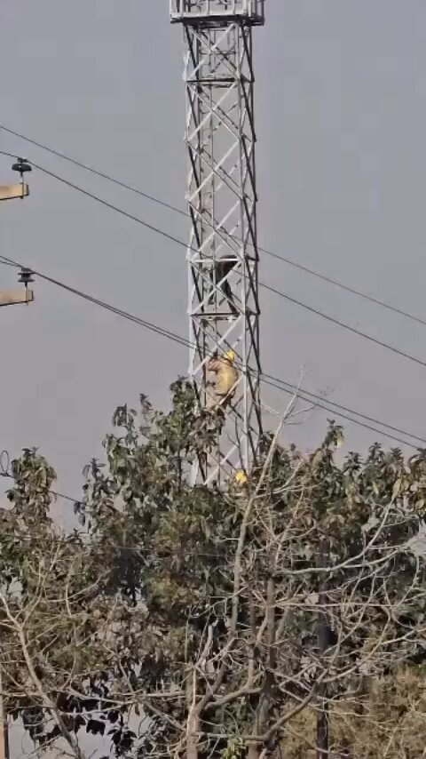 BREAKING: St Mary’s Suicide Attempt Averted After Tense Negotiations