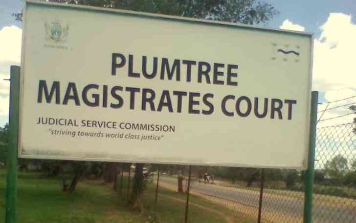  Plumtree Mother arrested for beating child to death over soiling incident