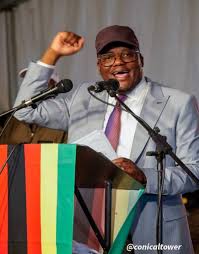 Zanu PF Hardliners Push For Tungwarara Elevation To Central Committee