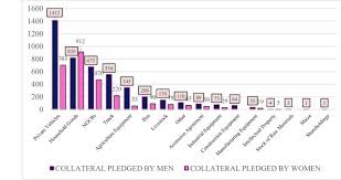 Movable Collateral Registry expands access to credit for women