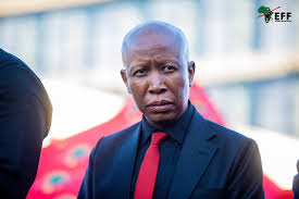 Malema Sentenced to Five Years, Files Immediate Appeal