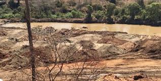 Chinese fortune seekers invade Zimbabwe's Wedza