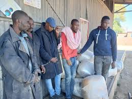 Five Men Arrested with 360kg Dagga Worth ZiG10.8 Million Appear in Bulawayo Court