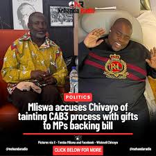 Mliswa and Chivayo Trade Blows Over ED2030 Donations Amid Rising ZANU PF Tensions