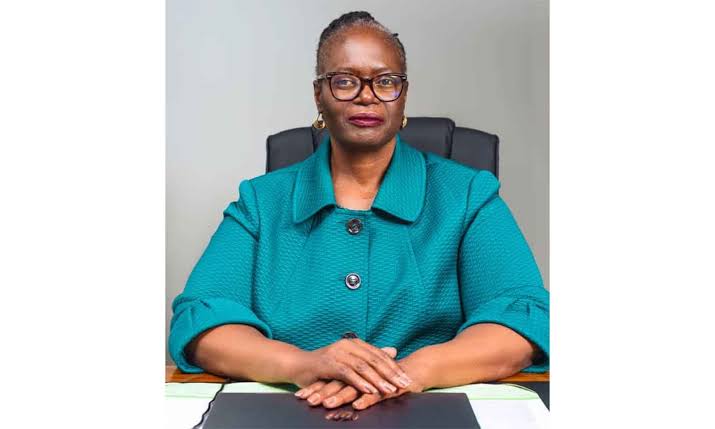 Zimbabwe registers 15 000 skilled returnees from SA