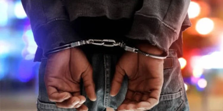 Eight People Arrested After Running Secret Illegal Mine In Marlborough For Four Years