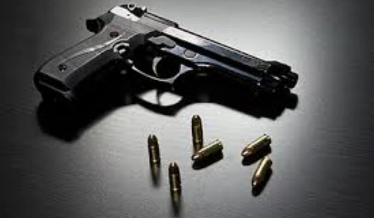 Zimbabwe MPs Warn Of Growing Gun Threat As Fake Firearms Raise Fresh Fears