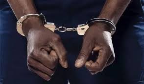 Police Arrest Four Suspects Over Robberies and Vehicle Theft